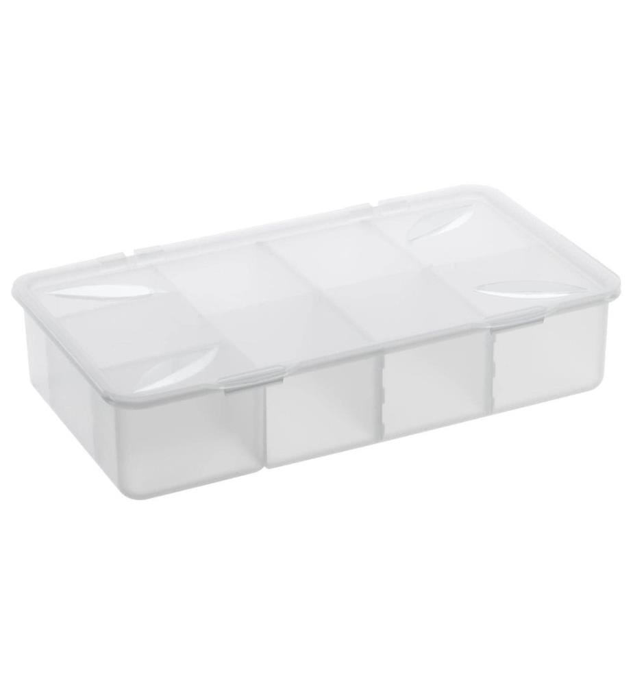 ROTHO - Boîte de rangement Snappy 3 l Transparent