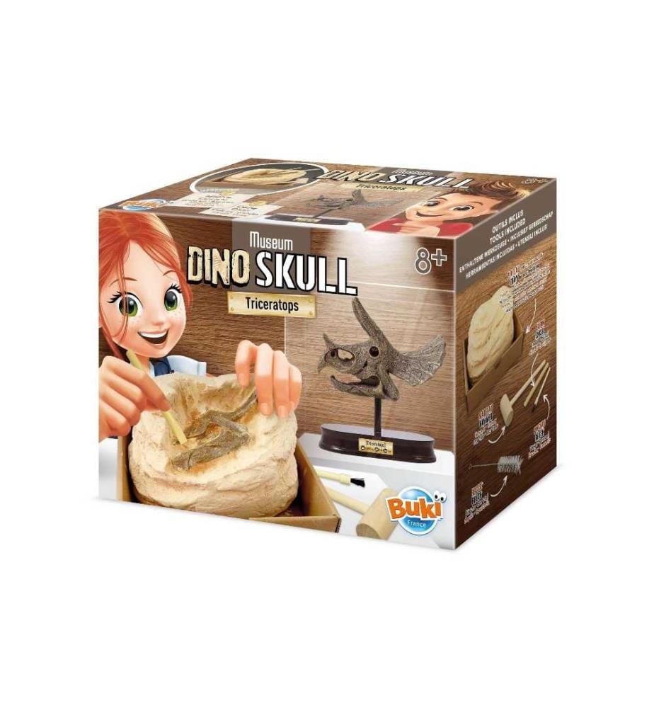 BUKI - Boîtes dexpérimentation Crâne de dinosaure  Triceratops