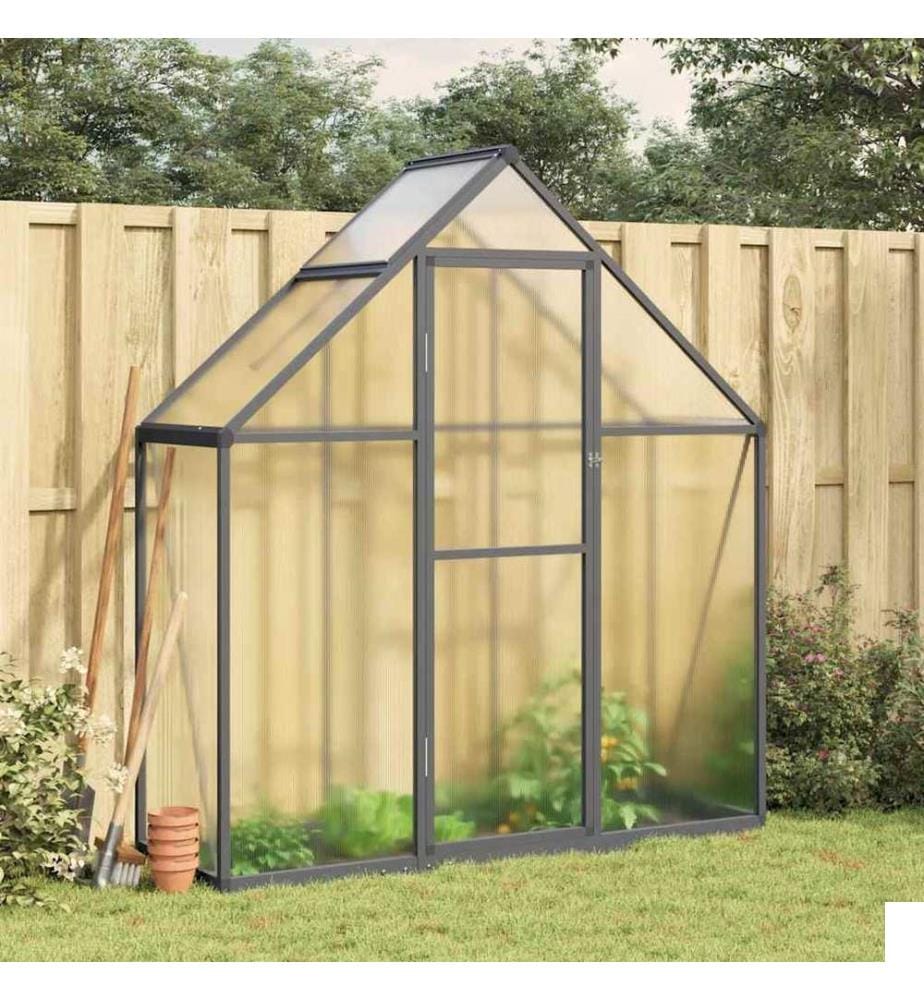 Serre avec cadre de base anthracite 169x58x195 cm aluminium
