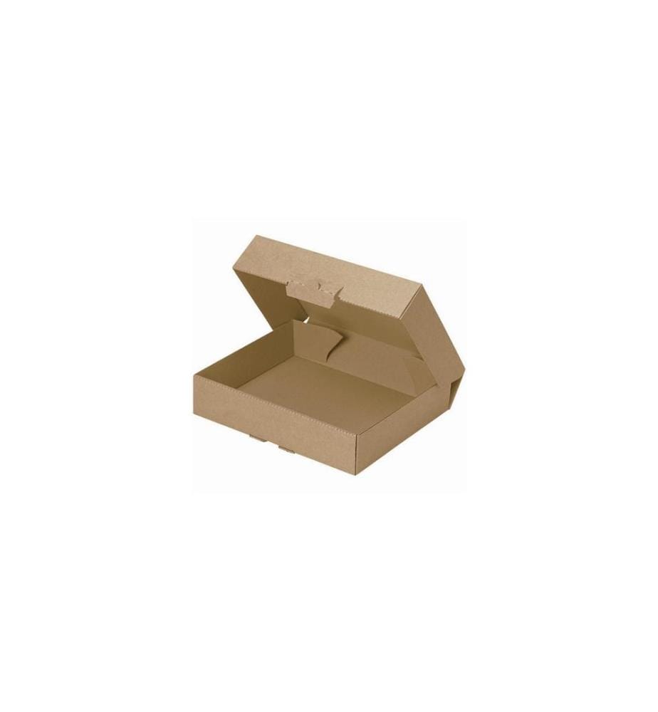 BRIEGER - Carton dexpédition 15.5 x 11 x 45 cm, 1 pièce