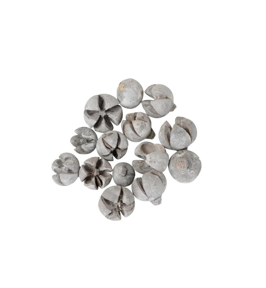 COCON - Décoration à saupoudrer Capsules de fruits Blanc, 200g