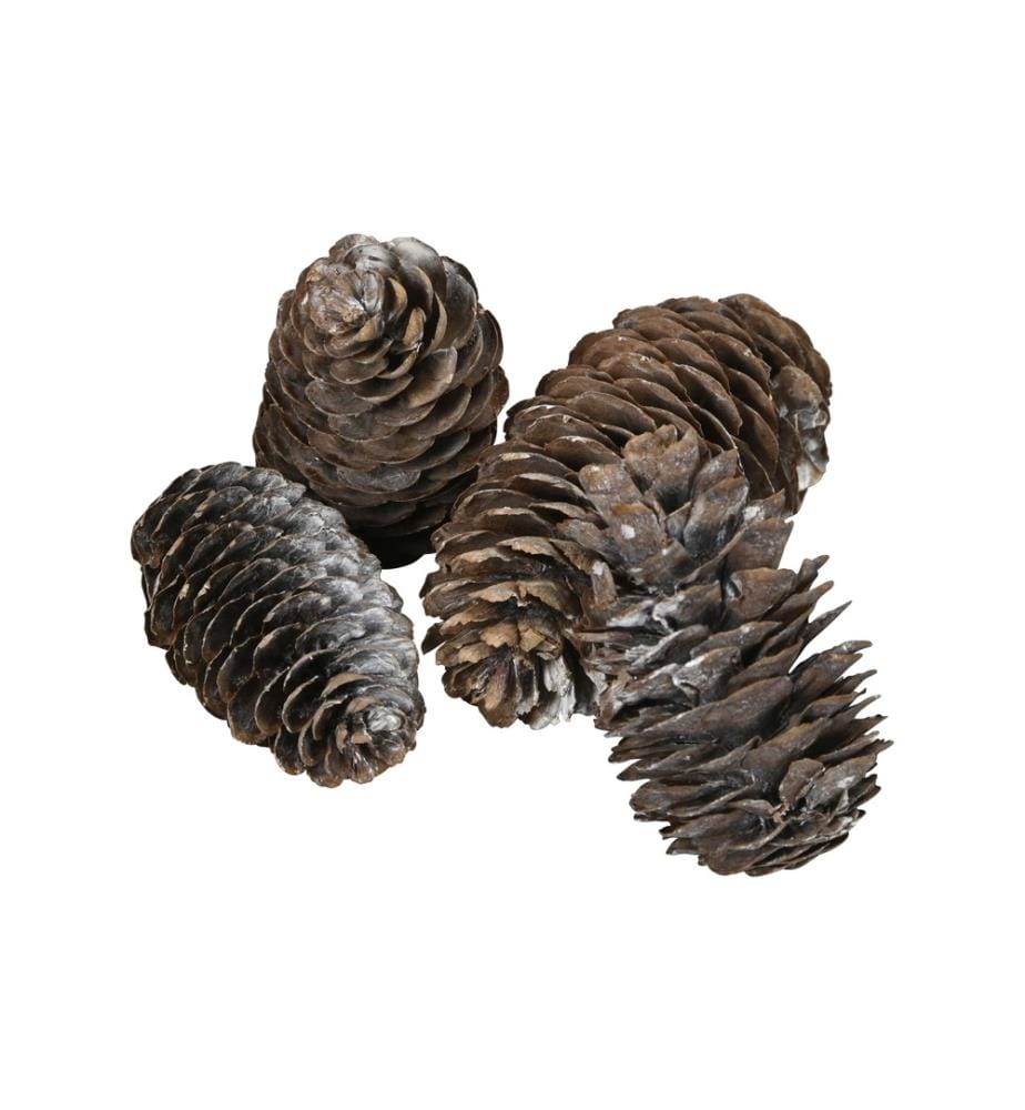 COCON - Décoration à saupoudrer Pomme de pin grande, Blanc, 100g