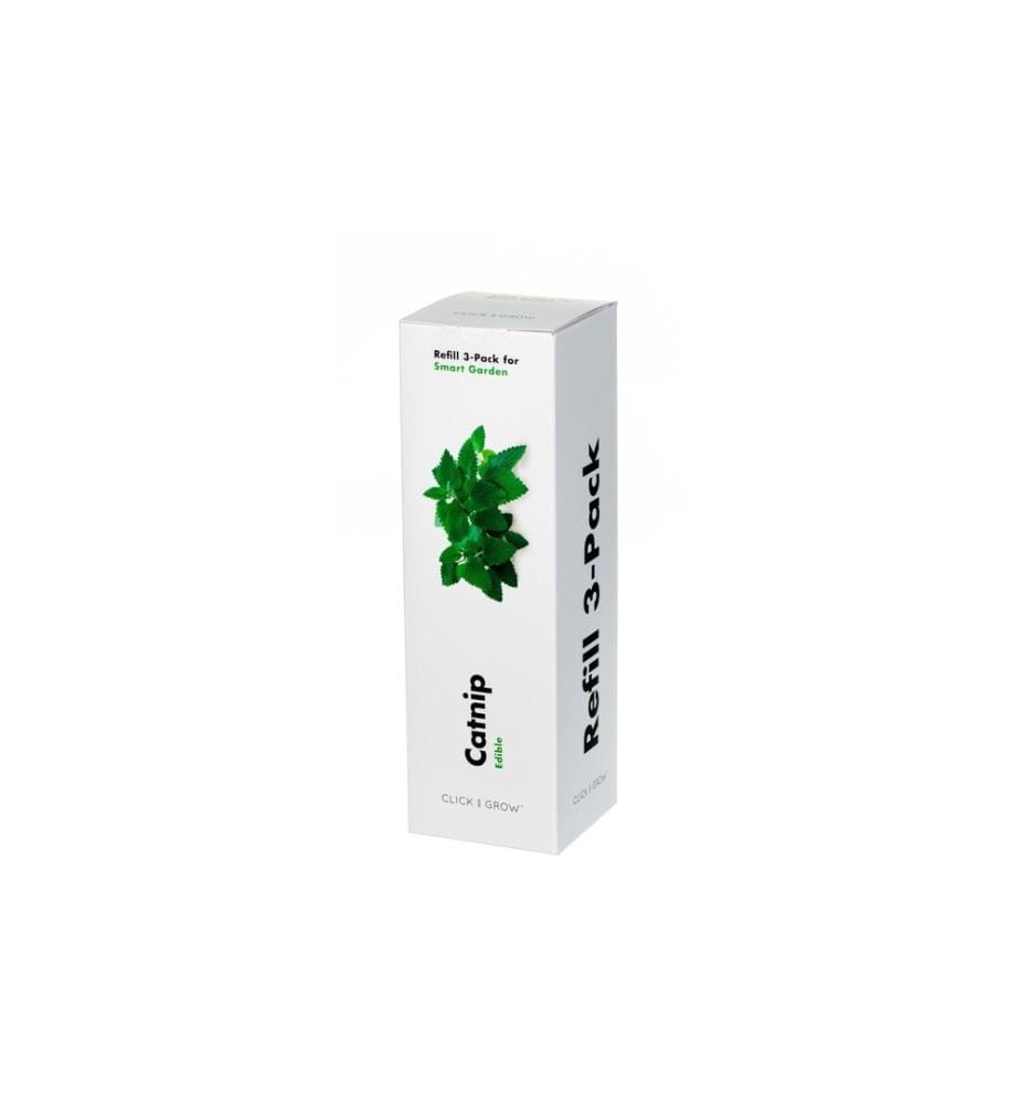 CLICK AND GROW - Semence herbe-aux-chats
