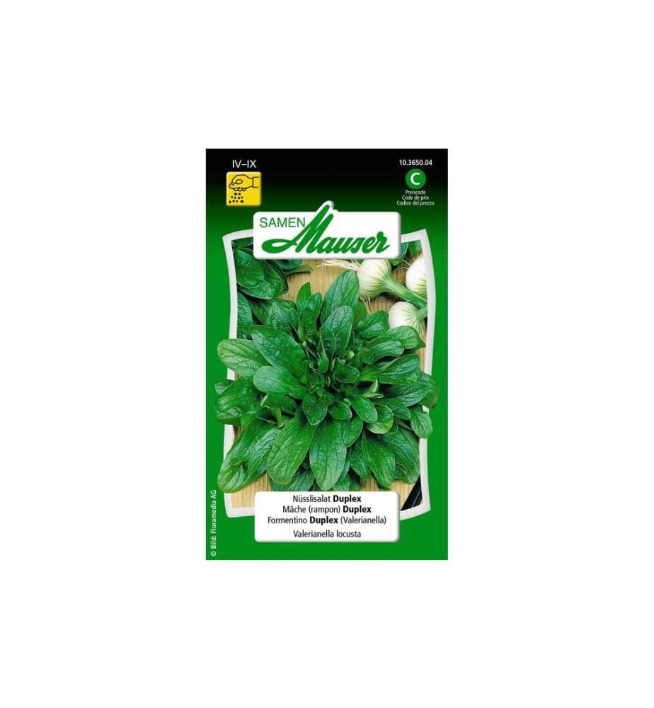Samen Mauser - Semence Salade de noix Duplex