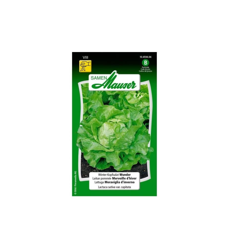 Samen Mauser - Semence Profiline Salade d'hiver Wisa