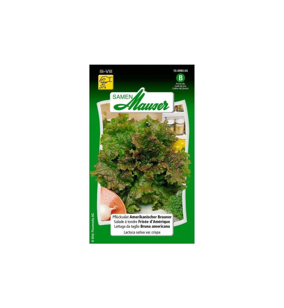 Samen Mauser - Semence Salade de cornichons brun américain