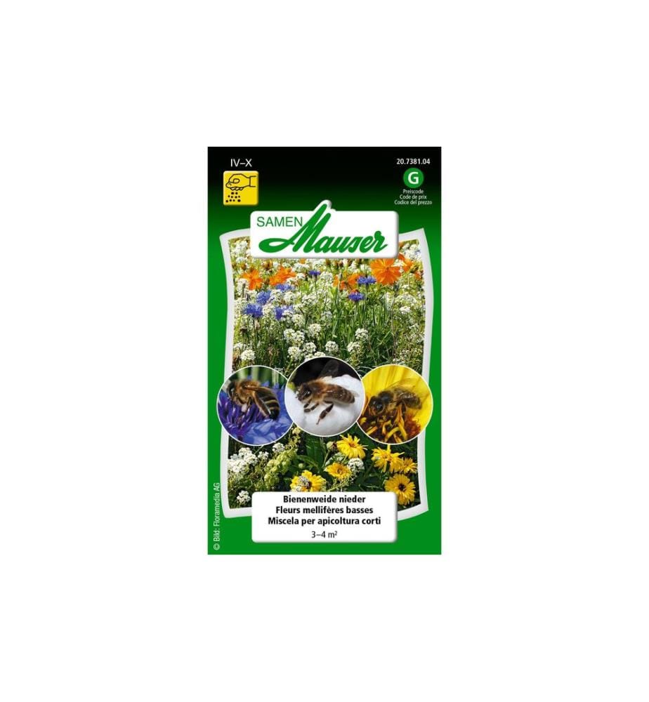 Samen Mauser Graines pour prairie à papillons basse / 3-4 m²