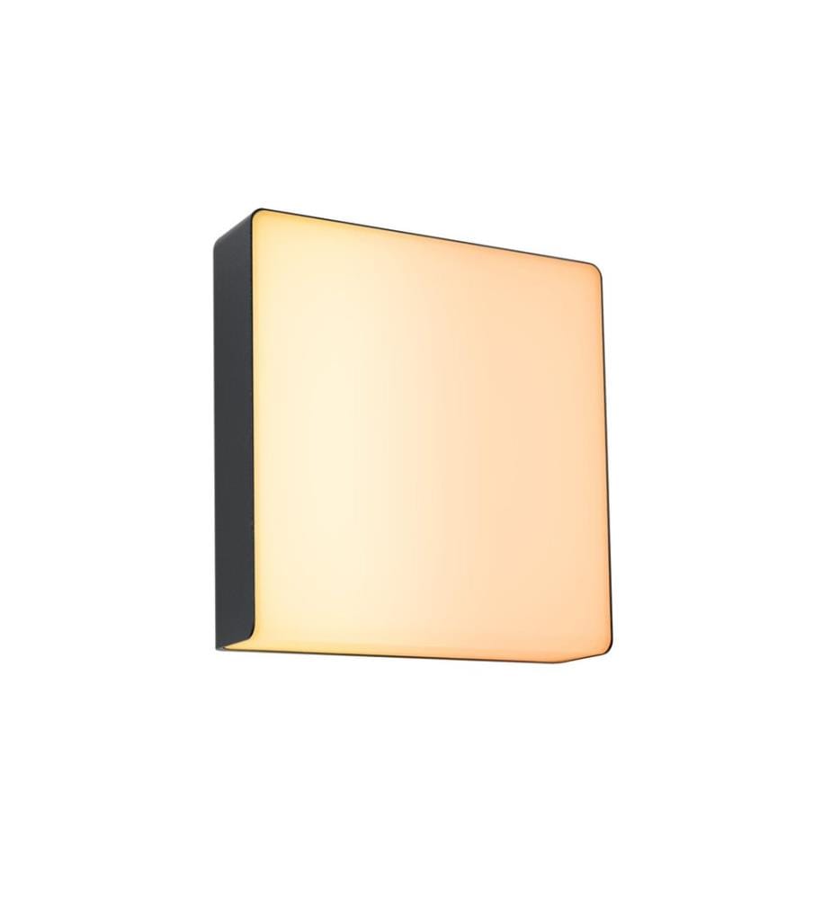 Paulmann Applique murale extérieure LED Azalena, Smart Home Zigbee 3.0