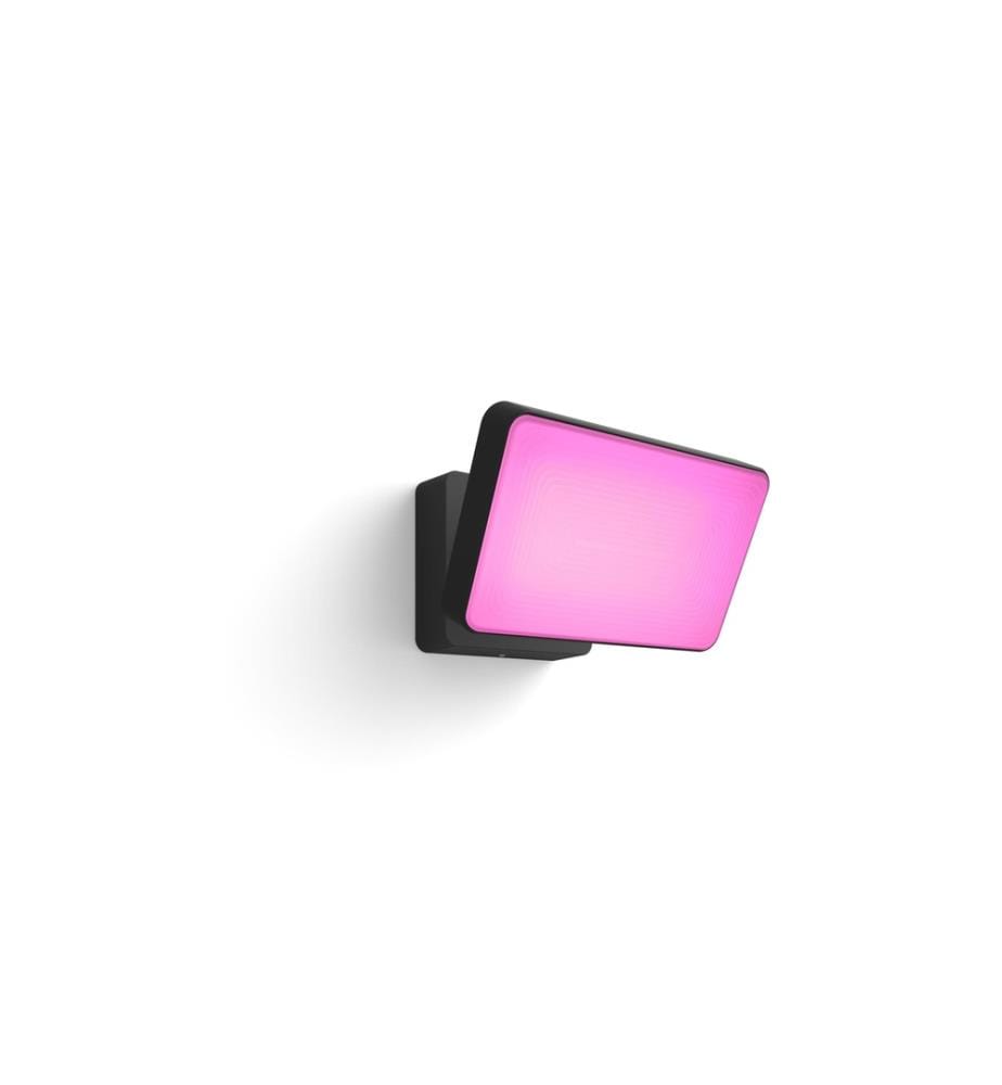 PHILIPS HUE - White & Color Ambiance Outdoor Discover Projecteur Noir