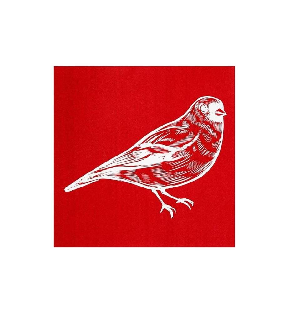 CREATIV COMPANY - Patrons sérigraphie Oiseau, 1 pièce