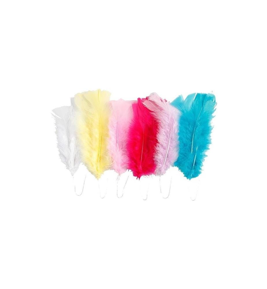 CREATIV COMPANY - Plumes Multicolore, 18 Pièce/s