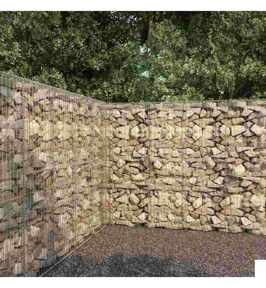 Mur en gabion avec couvercle Acier galvanisé 300 x 50 x 200 cm
