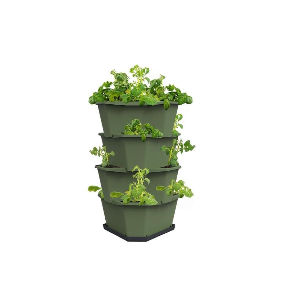 GUSTA GARDEN - Godets de culture PAUL POTATO Starter, 4 étages, Vert foncé