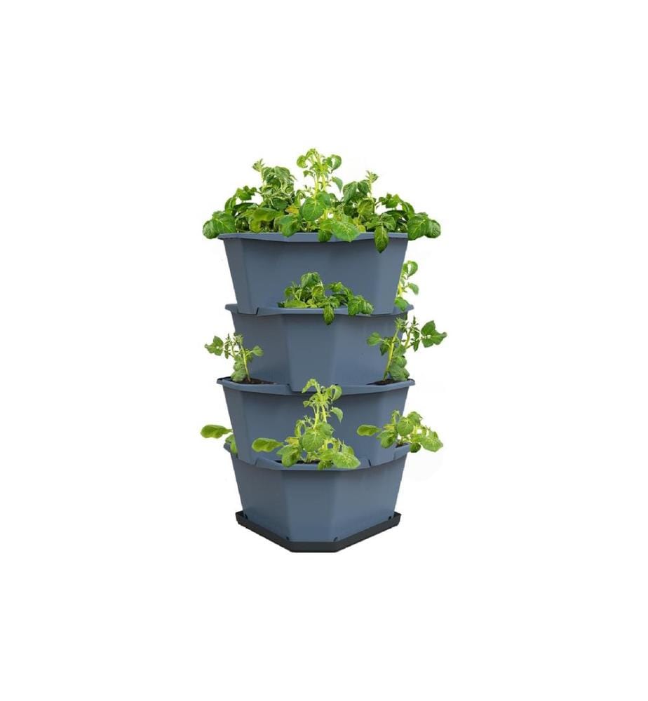 GUSTA GARDEN - Godets de culture PAUL POTATO Starter, 4 étages, Bleu