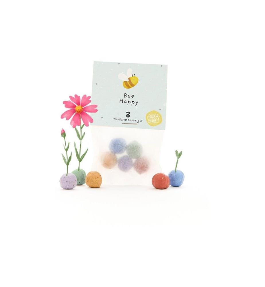 Die Stadtgärtner - Billes de fleurs «Bee Happy»
