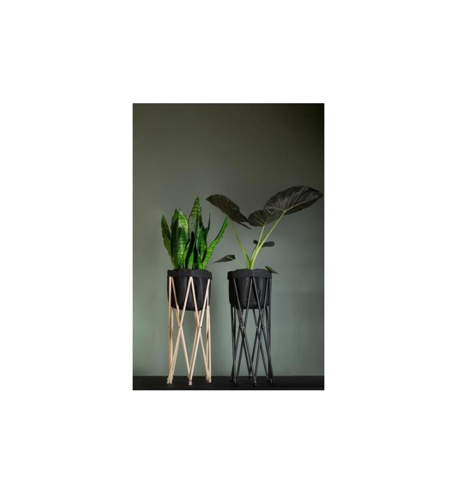 NEOGARD AG - Trépied pour plantes Seda 70, Nature