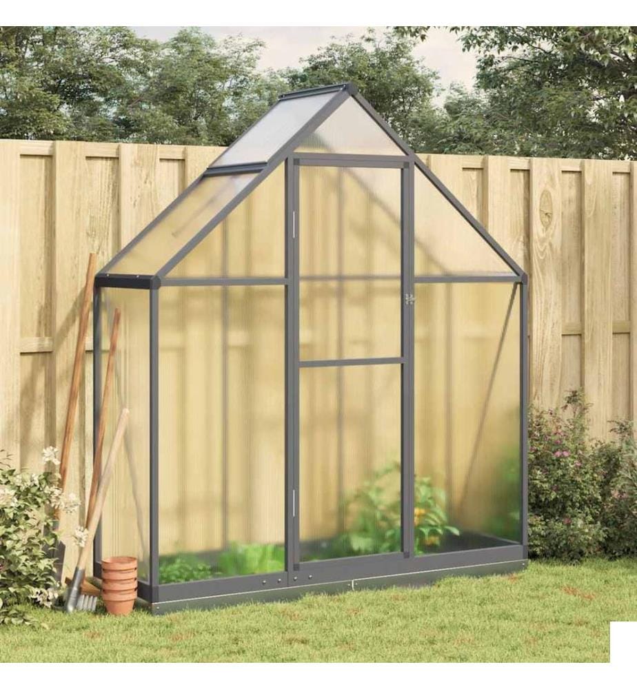 Serre avec cadre de base anthracite 169x58x202 cm aluminium
