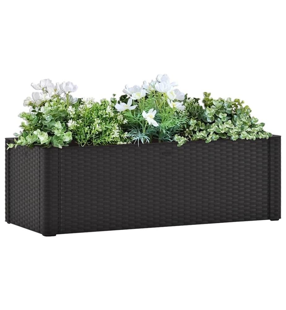 Lit surélevé de jardin système arrosage Anthracite 100x43x33 cm