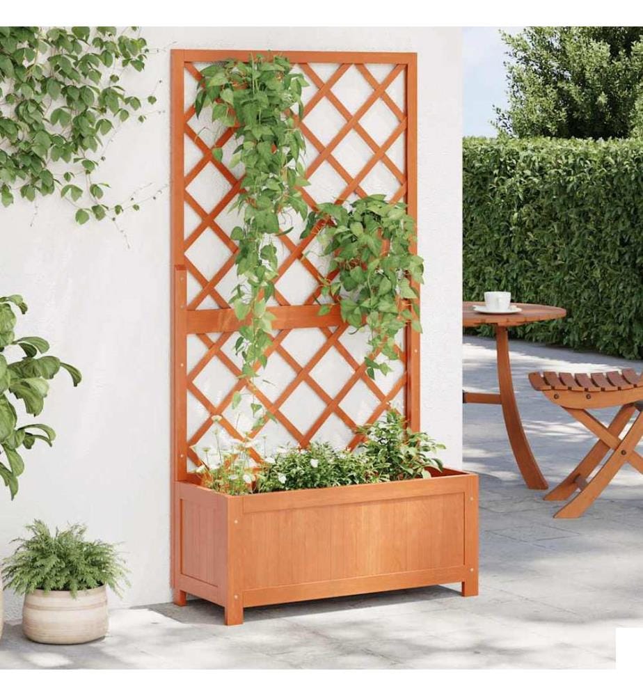Jardinière à treillis jardin Marron 70x30x135 cm Bois de sapin