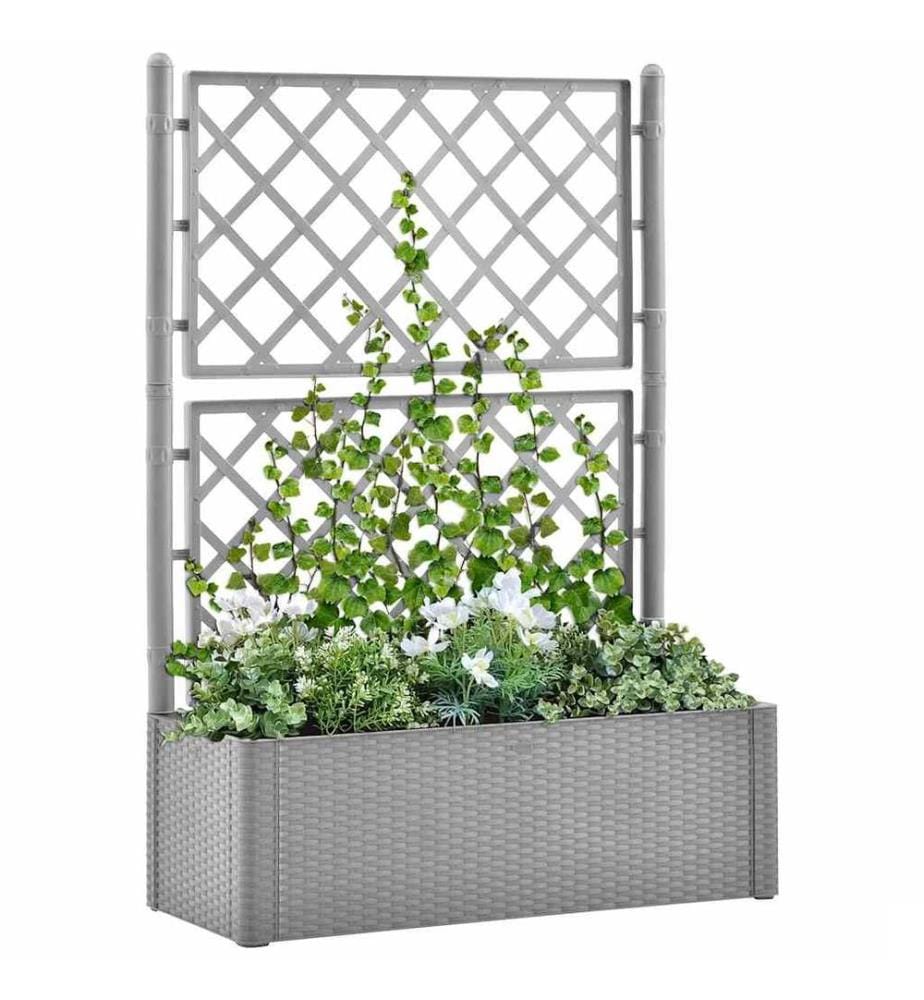 Lit surélevé de jardin et treillis et système d'arrosage Gris