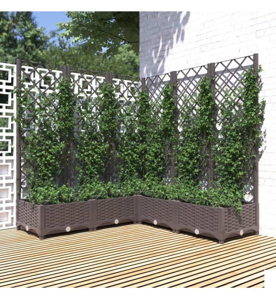 Jardinière avec treillis Marron 120x120x121,5 cm PP