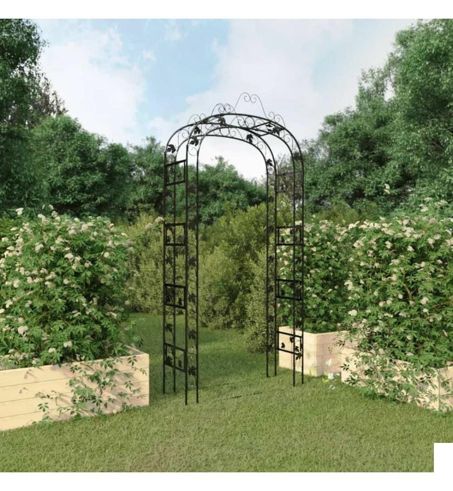 Arche de jardin Noir 116x45x240 cm Acier