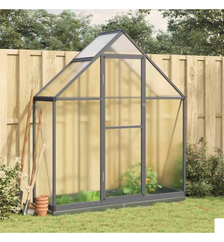 Serre avec cadre de base anthracite 169x58x202 cm aluminium