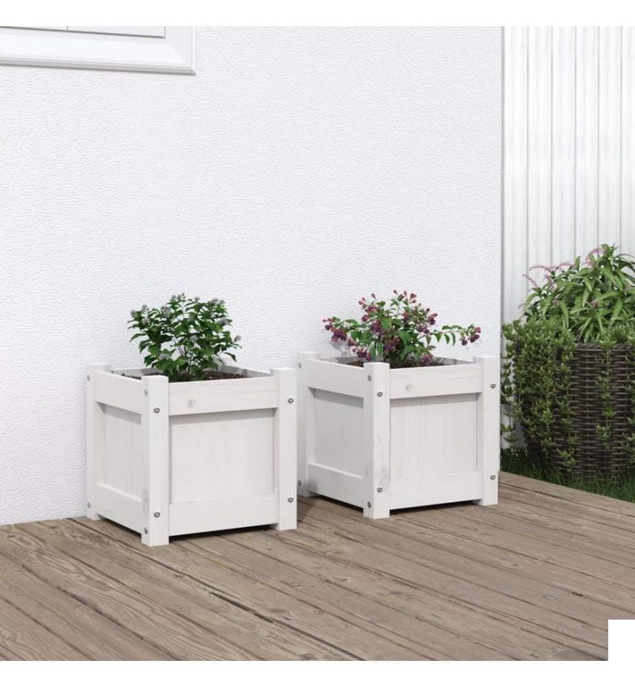 Jardinières 2 pcs blanc bois de pin massif