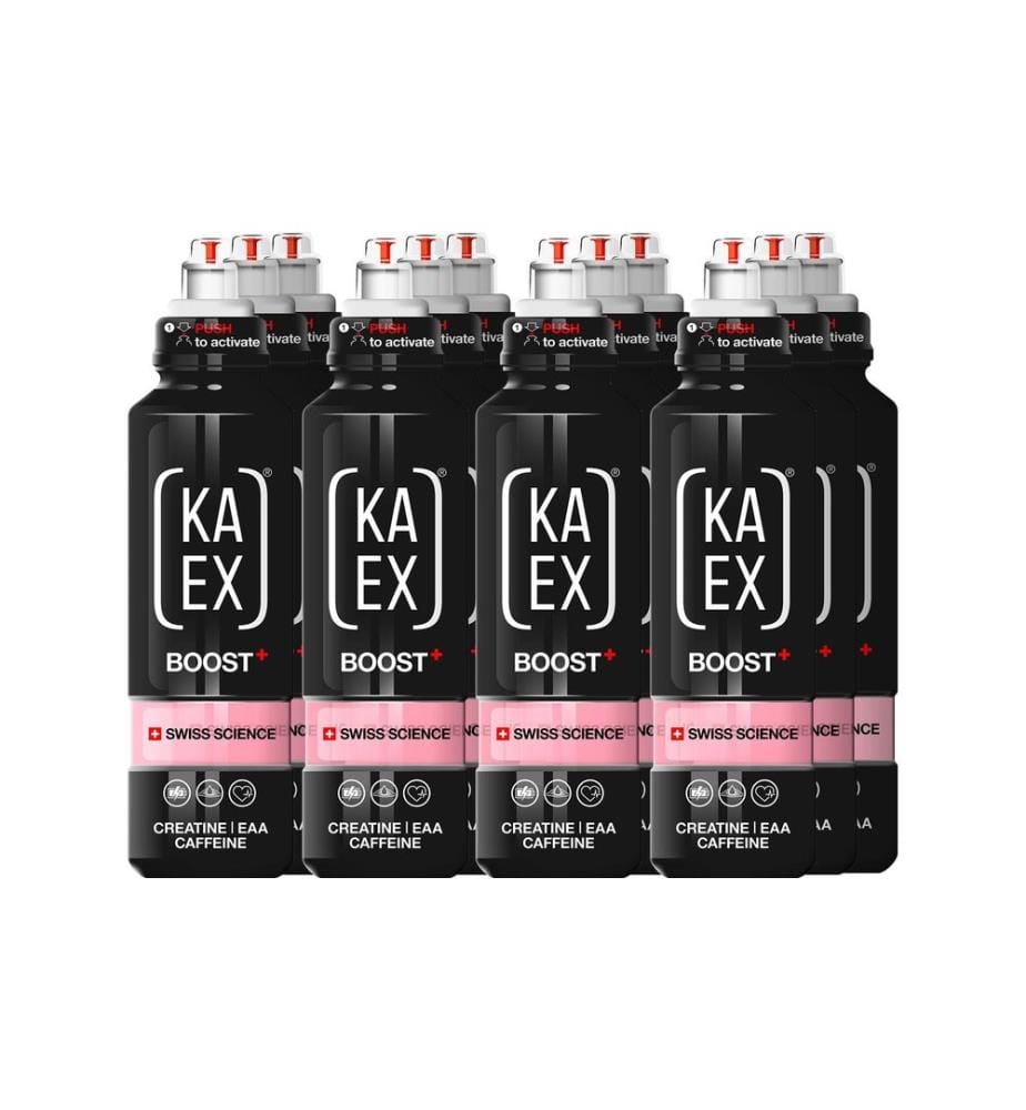 KAEX - KA-EX GO BOOST 12 x 460 ml