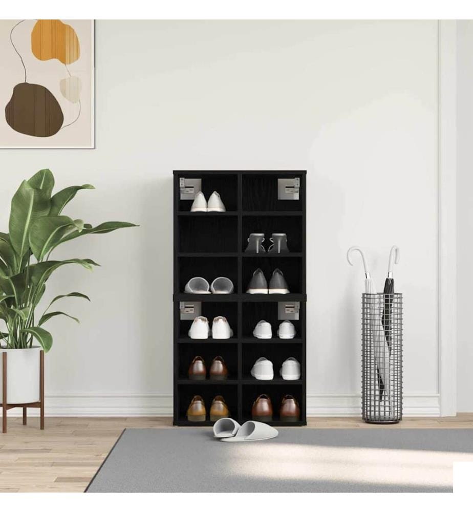 Cabinet à chaussures 2 pcs Chêne noir 52 x 30 x 50,5 cm