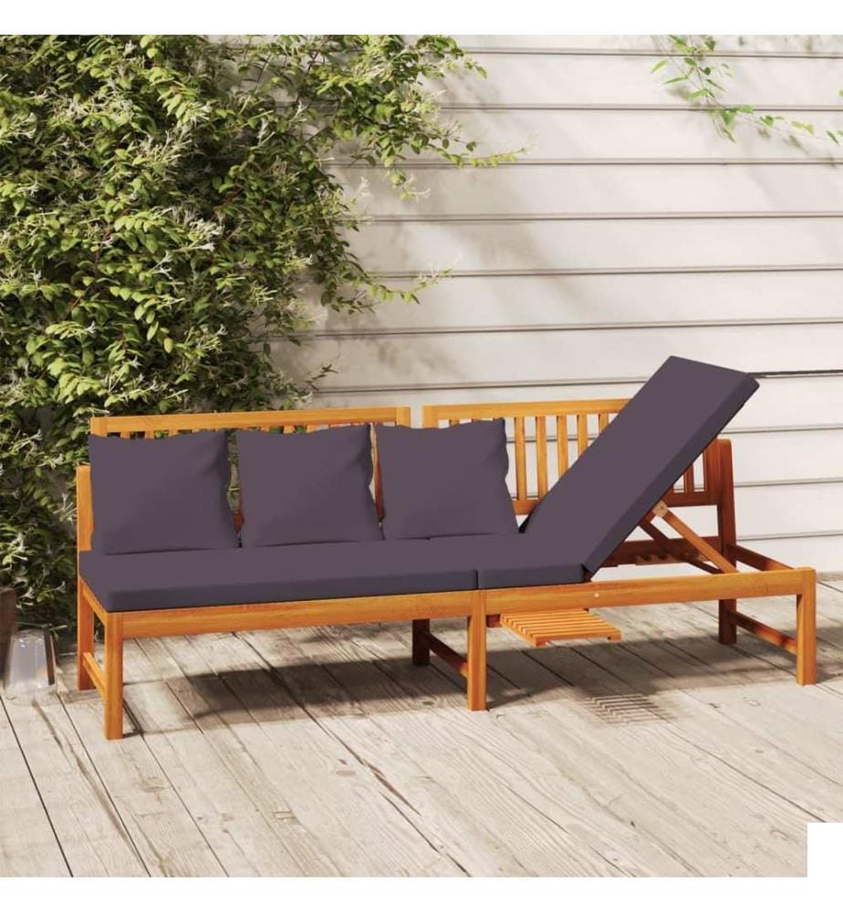 Lit de jour avec coussin gris 200x60x75 cm Bois d'acacia solide