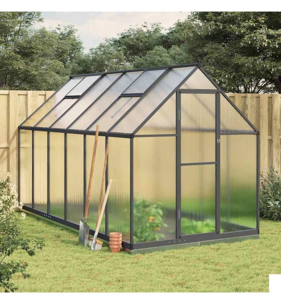 Serre avec cadre de base anthracite 334x169x202 cm aluminium