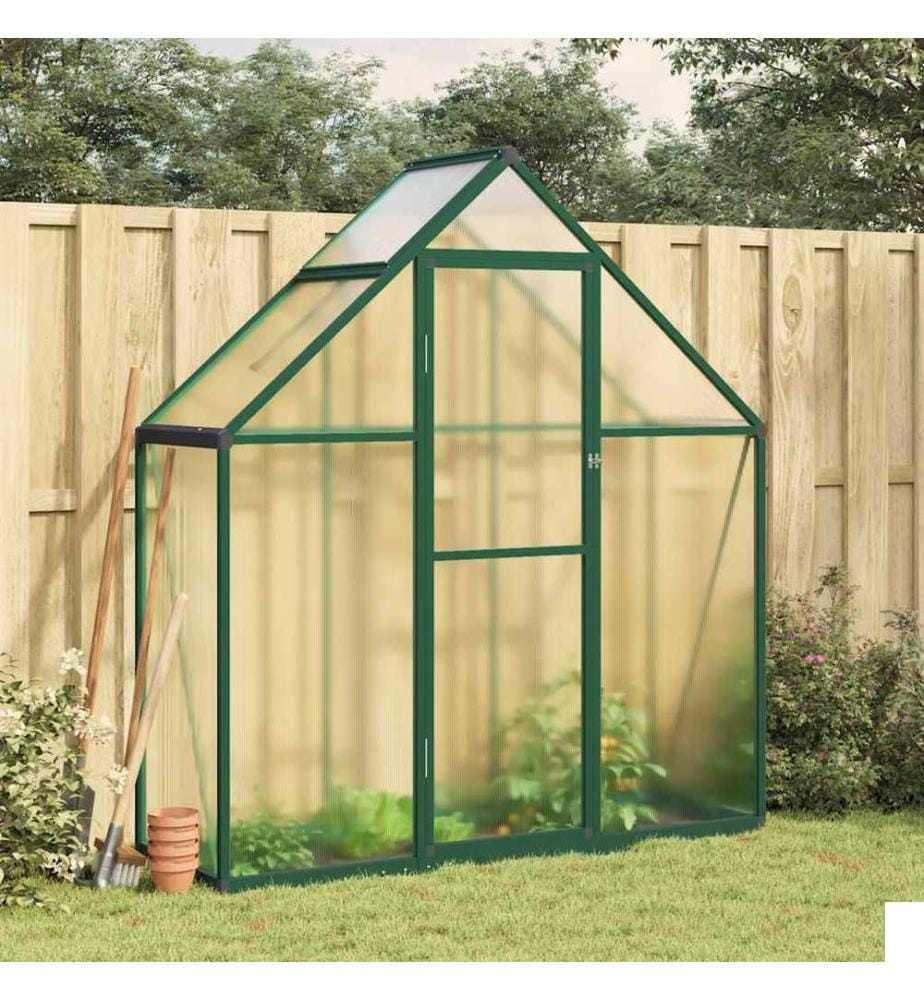 Serre avec cadre de base vert 169x58x195 cm aluminium