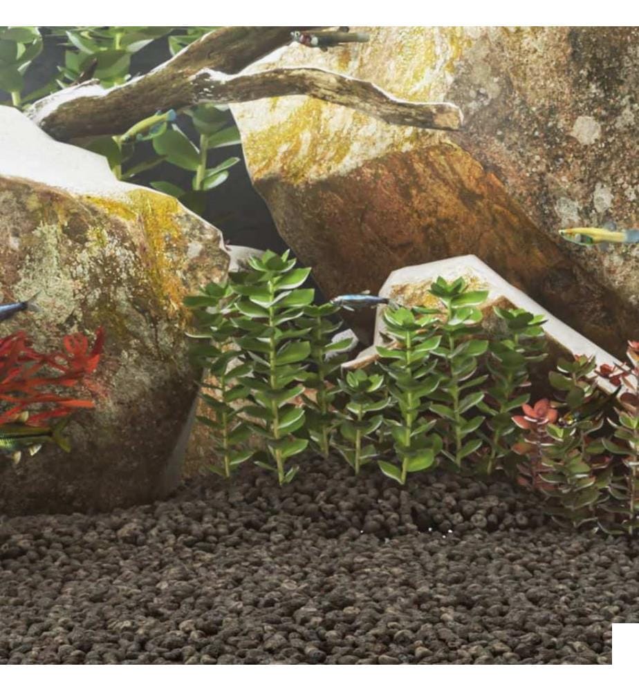 Roches volcaniques 10 kg noir 1-2 cm