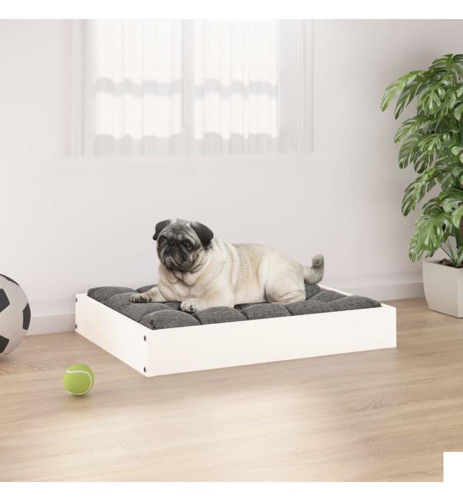 Lit pour chien Blanc 61,5x49x9 cm Bois de pin solide