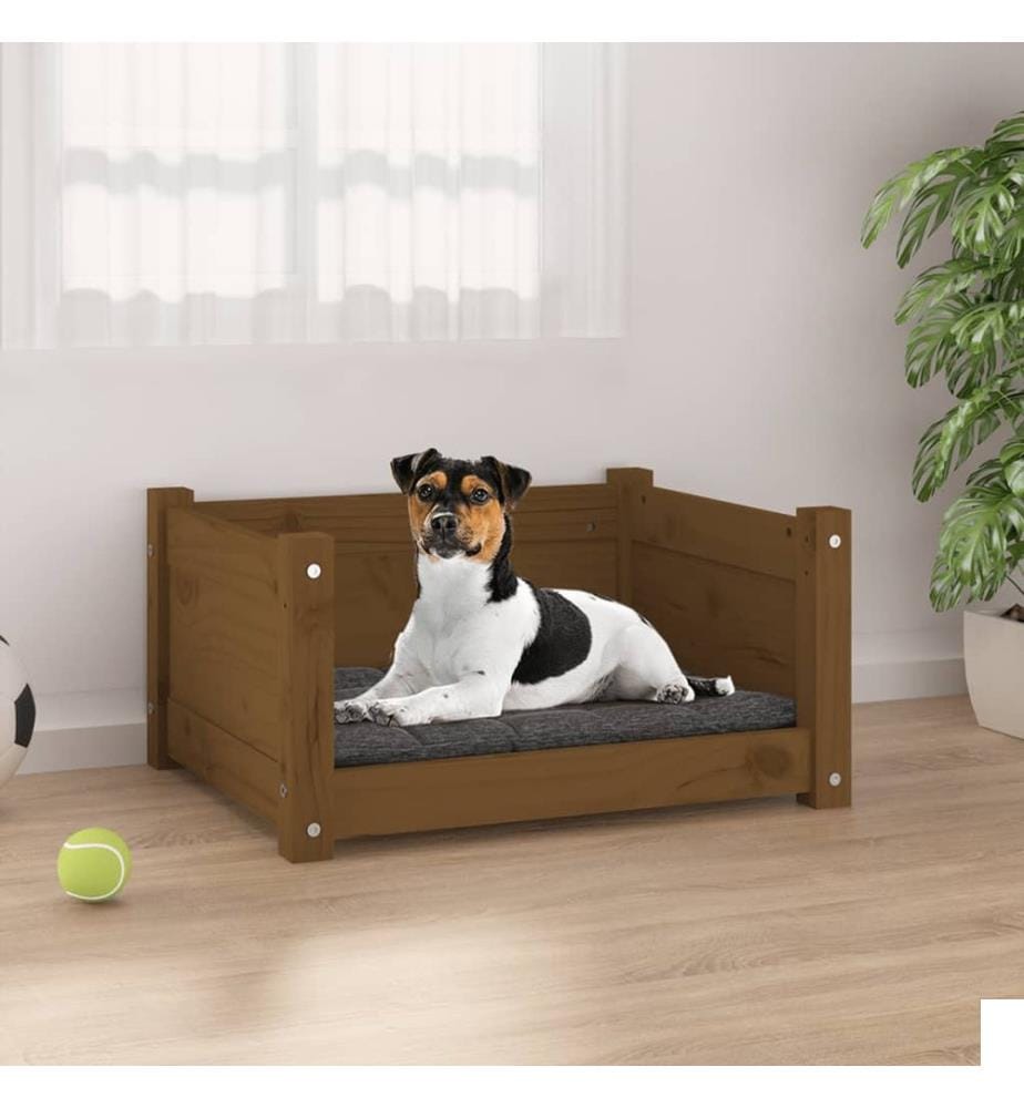 Lit pour chien Marron miel 55,5x45,5x28 cm Bois massif de pin