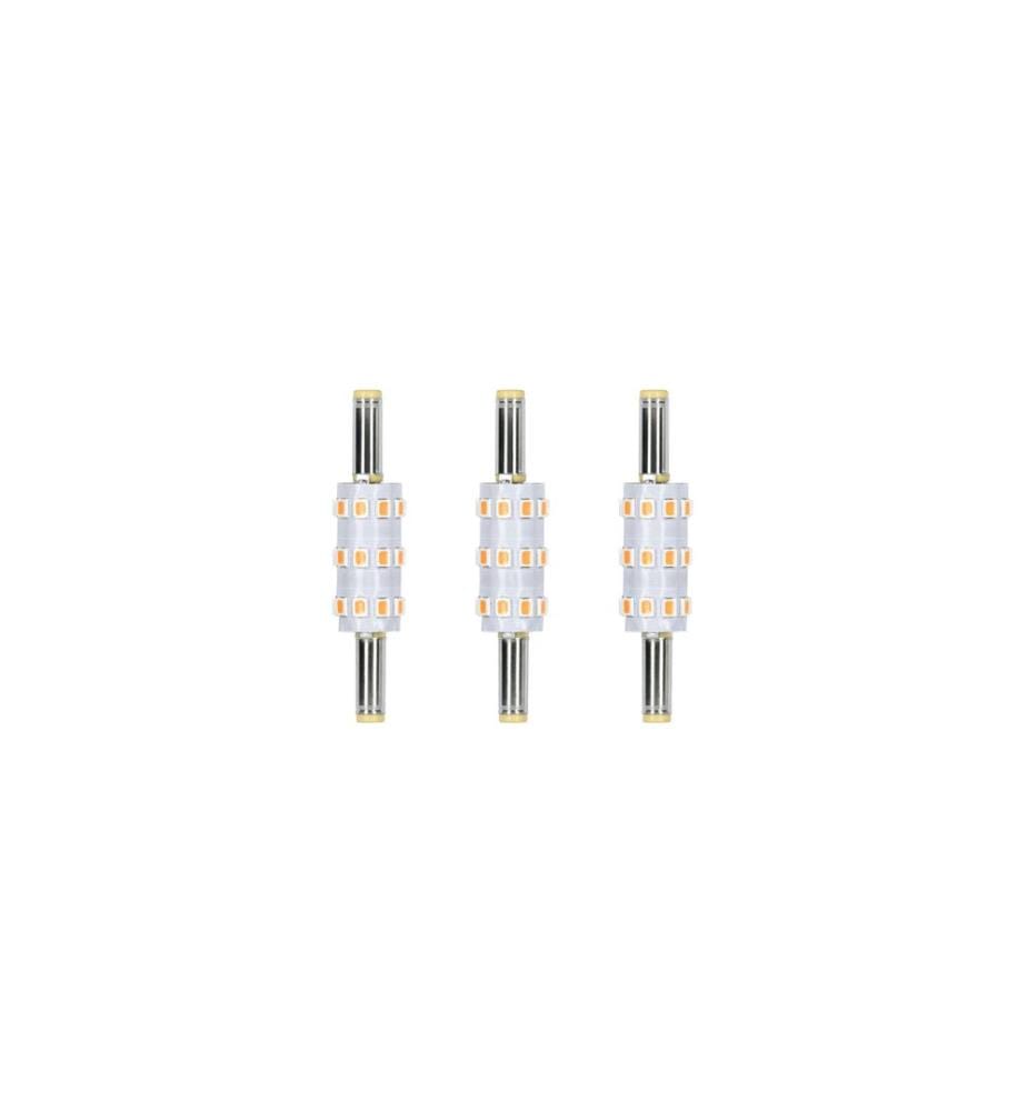PAULMANN - Ampoule de rechange Plug & Shine Naima Lot de 3