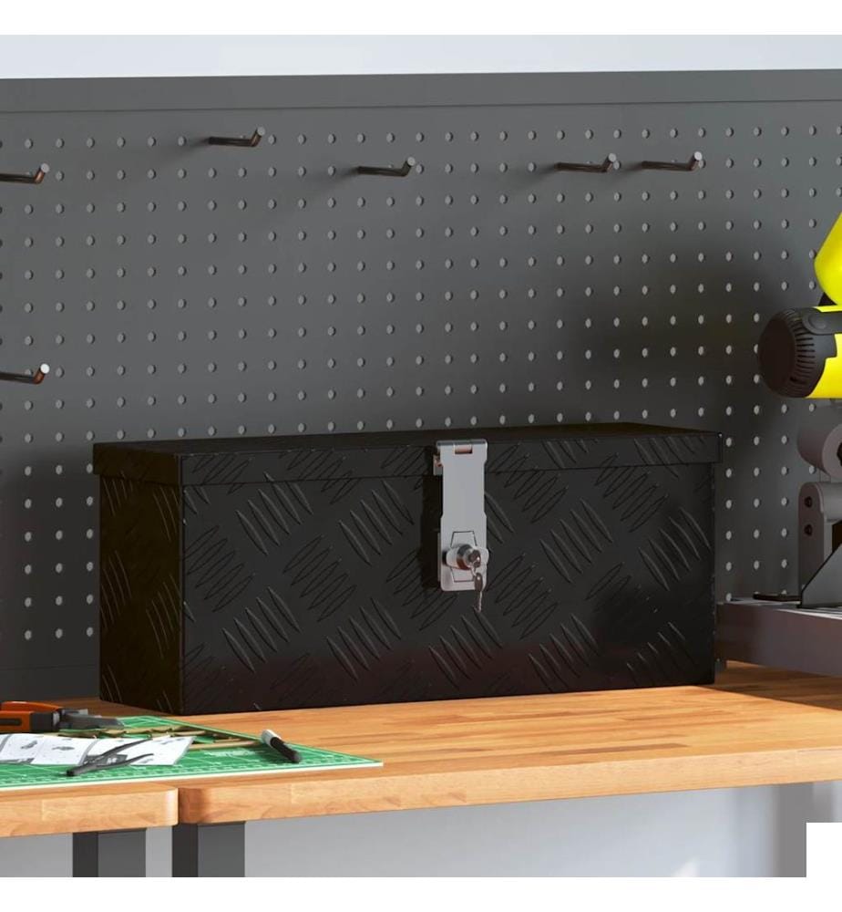 Boîte de rangement Noir 50x15x20,5 cm Aluminium