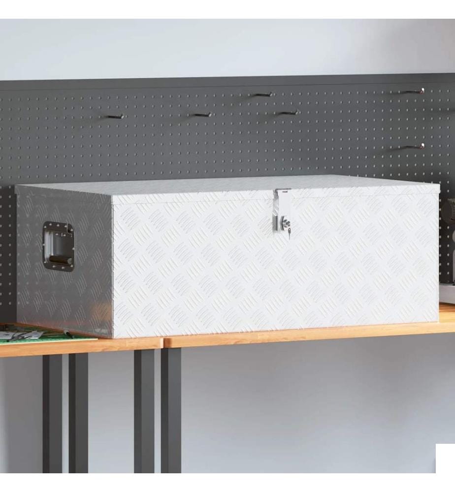 Boîte de rangement Argenté 100x55x37 cm Aluminium