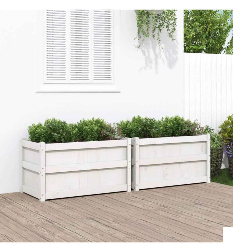 Jardinières 2 pcs blanc bois de pin massif