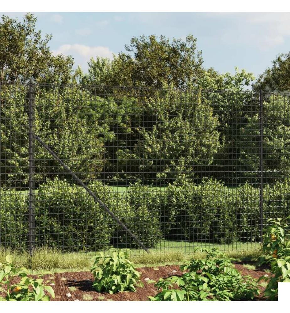 Clôture en treillis métallique anthracite 2x25m acier galvanisé
