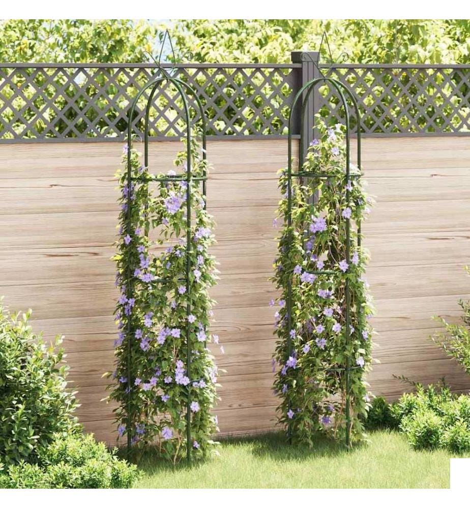 Arche de jardin en forme de tour 2 pcs