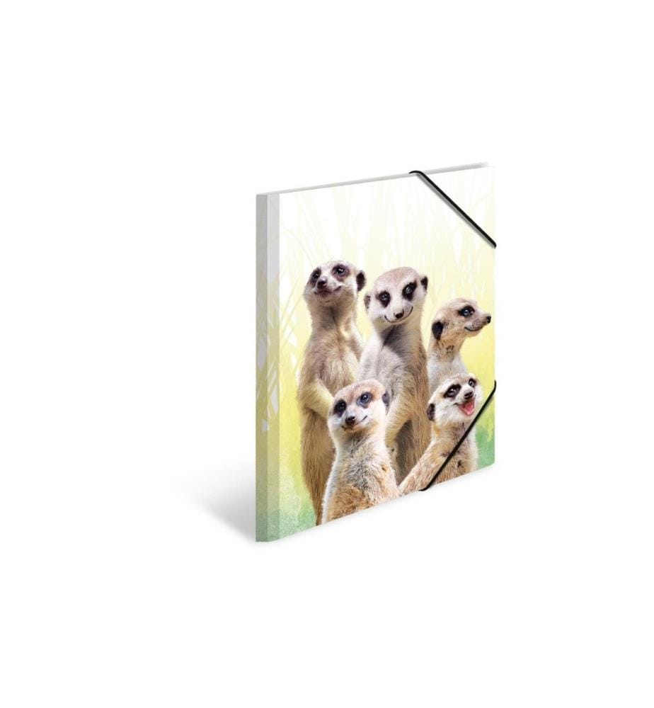 HERMA - Portfolio à ruban élastique Suricate A4, Multicolore