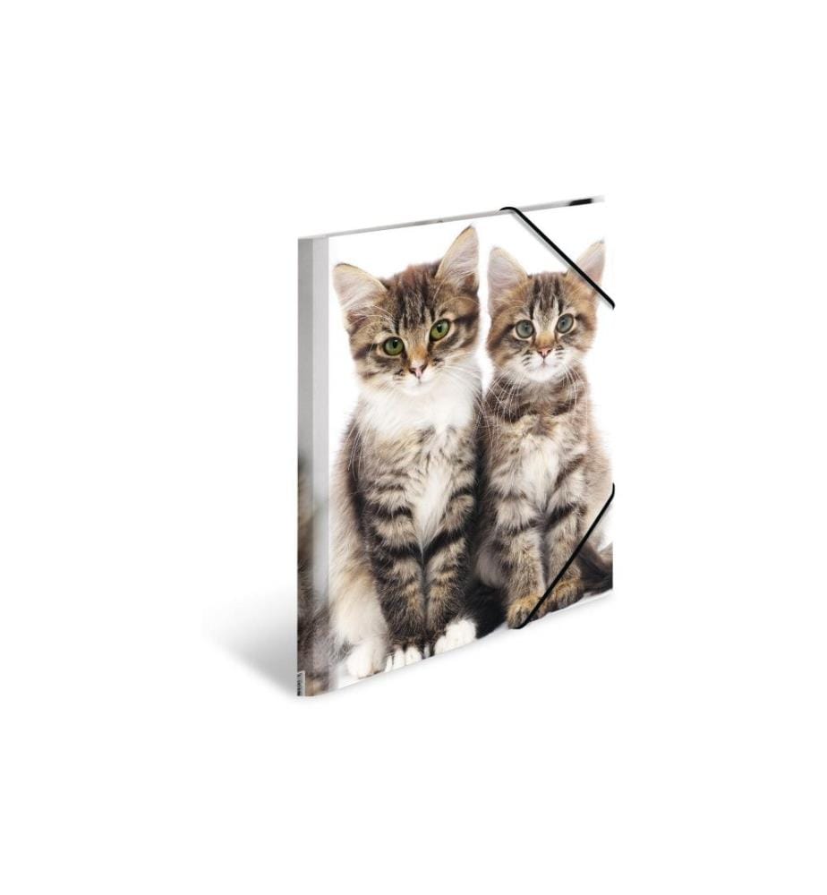 HERMA - Portfolio à ruban élastique A4 Chats, polypropylène, avec impression intérieure