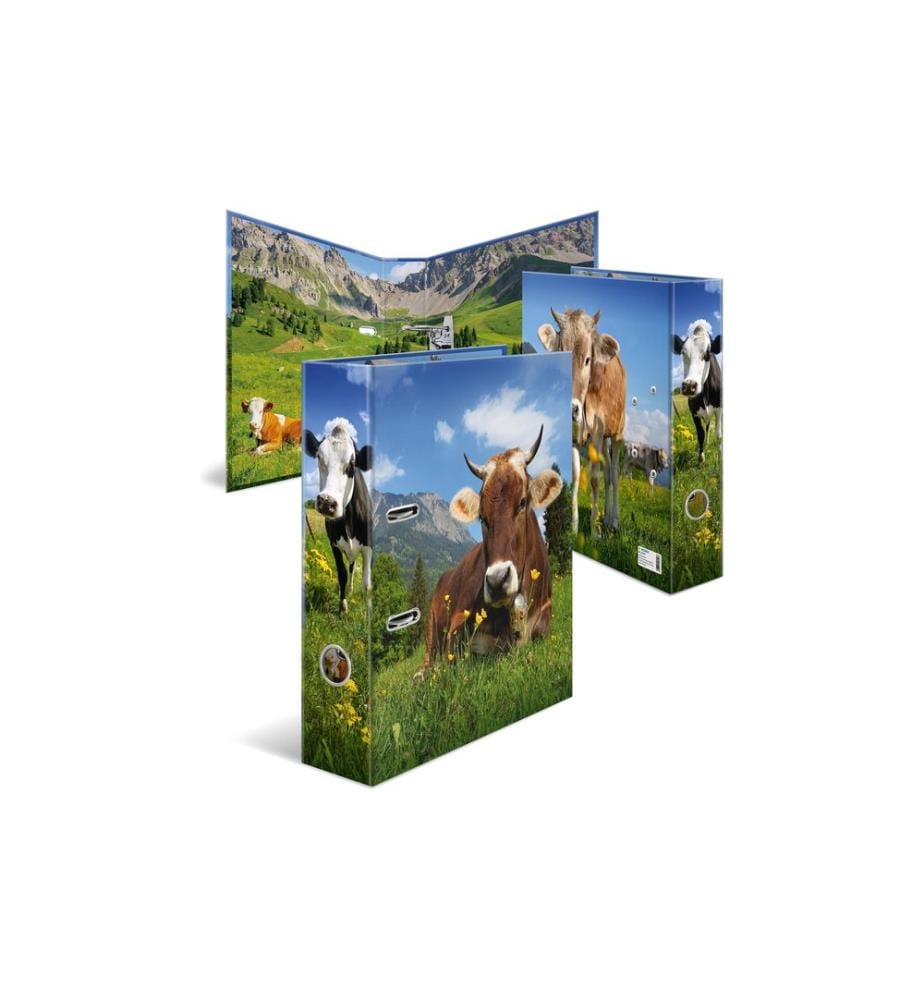 HERMA - Motif classeur A4 V AChe 7 cm/28.5 cm, Multicolore