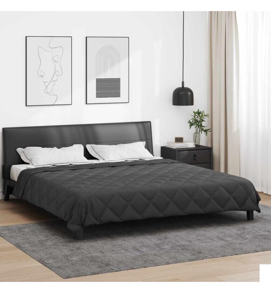 Duvet complet toute l'année Anthracite 220 x 200 cm Microfibre