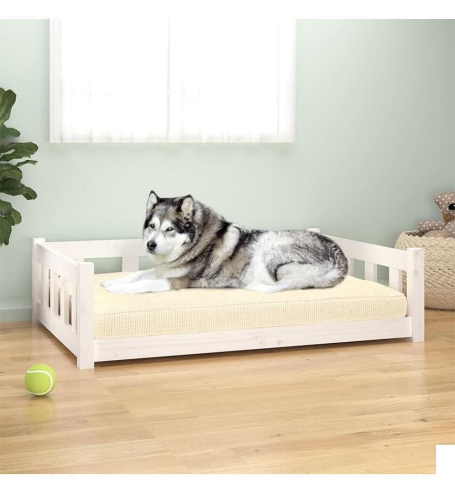 Lit pour chien blanc 105,5x75,5x28 cm bois de pin solide