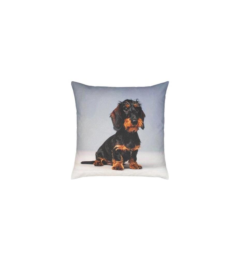 PROFLAX Housse de coussin Bodo 45 x 45 cm