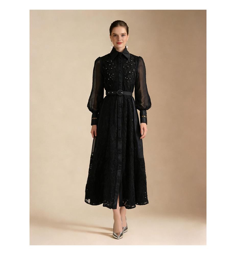 Elegant Embroidered Sheer Sleeve Maxi Dress - Black