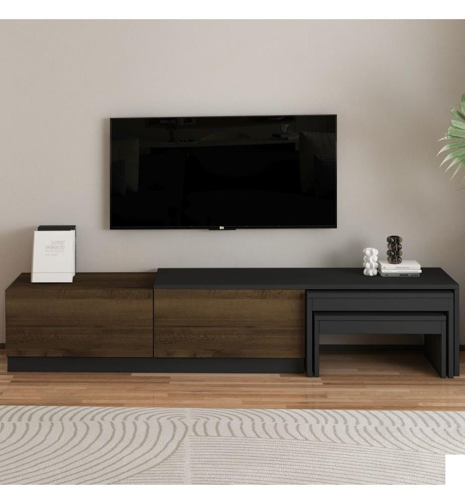 Meuble TV, panneaux de particules 100 % mélaminés, anthracite, noyer antique